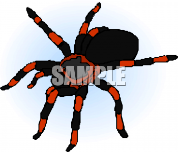 Insect Clipart