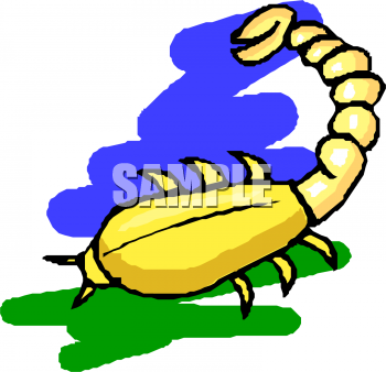 Insect Clipart