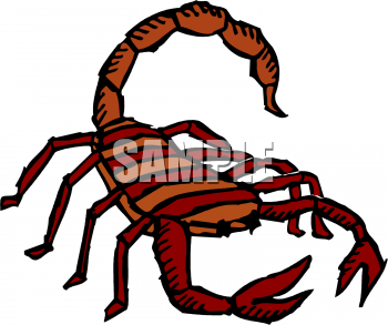 Insect Clipart