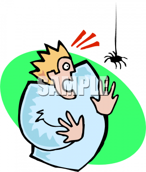 Insect Clipart