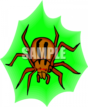 Arachnid Clipart