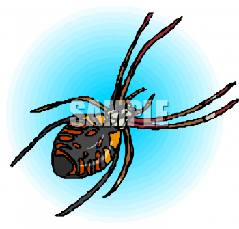 Insect Clipart