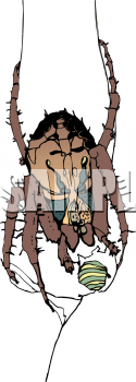 Insect Clipart