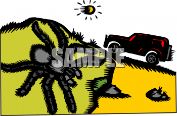 Insect Clipart