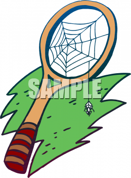Insect Clipart