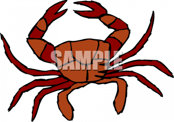 Fish and Sea Life Clipart