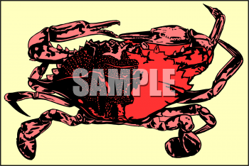 Fish and Sea Life Clipart