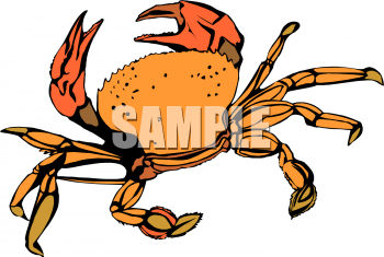 Fish and Sea Life Clipart