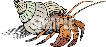 Fish and Sea Life Clipart
