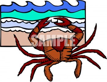 Fish and Sea Life Clipart