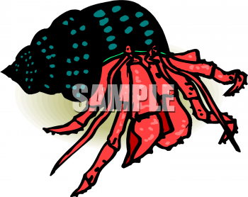 Fish and Sea Life Clipart