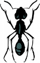 Insect Clipart