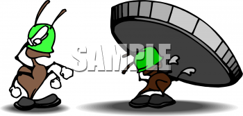 Insect Clipart