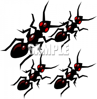 Insect Clipart
