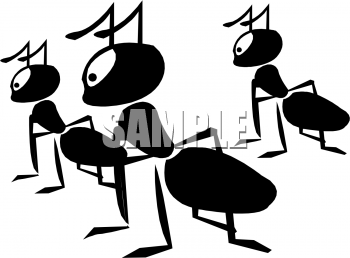Insect Clipart