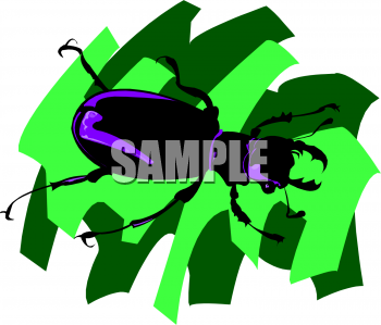 Insect Clipart