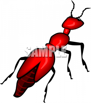 Insect Clipart