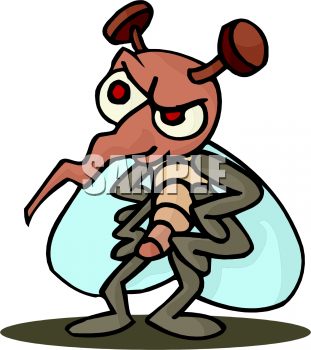 Insect Clipart