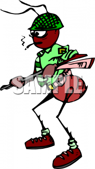 Insect Clipart
