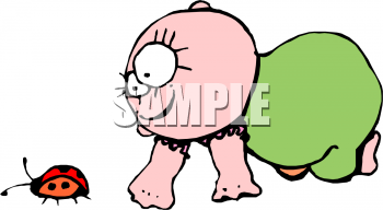 Insect Clipart