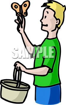 Insect Clipart