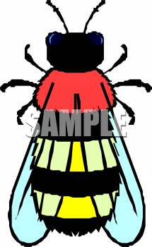 Insect Clipart