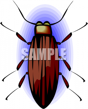 Insect Clipart