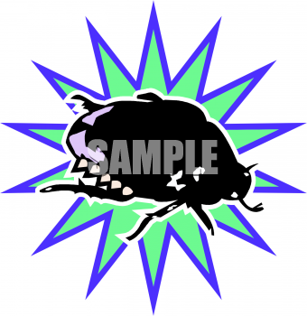 Insect Clipart