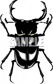 Insect Clipart