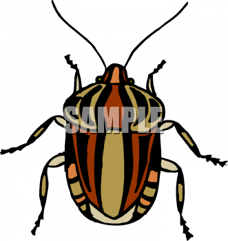 Insect Clipart