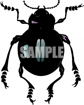Insect Clipart