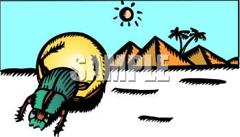 Insect Clipart