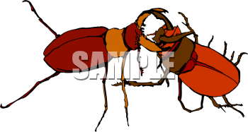 Insect Clipart