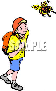 Insect Clipart