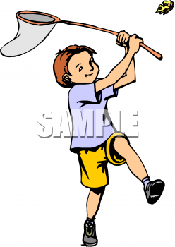 Insect Clipart