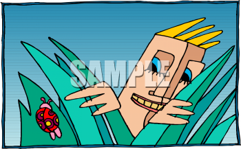 Beetle Clipart