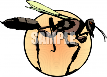 Insect Clipart