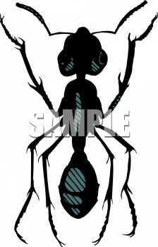 Insect Clipart