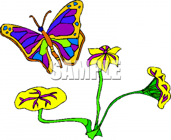 Insect Clipart
