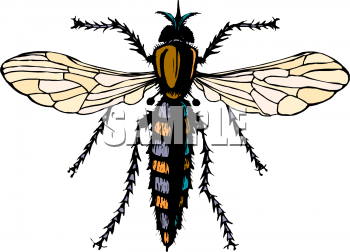 Insect Clipart