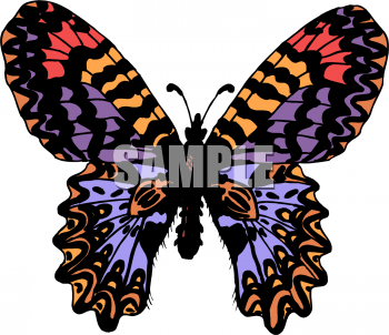 Insect Clipart