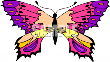 Insect Clipart