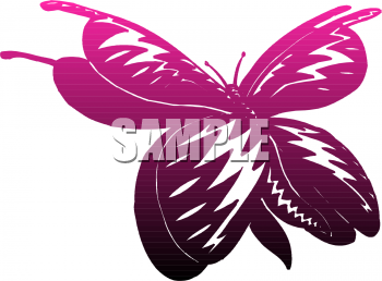 Insect Clipart