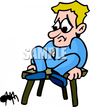 Insect Clipart