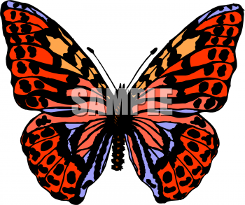 Insect Clipart