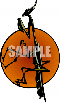 Insect Clipart
