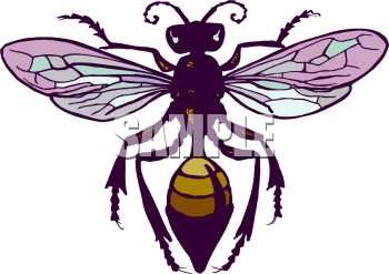 Insect Clipart