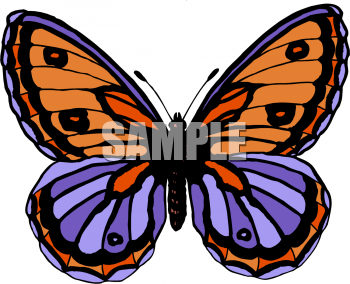 Insect Clipart
