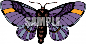 Insect Clipart