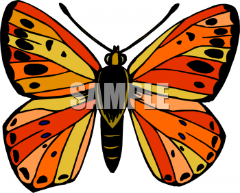 Insect Clipart